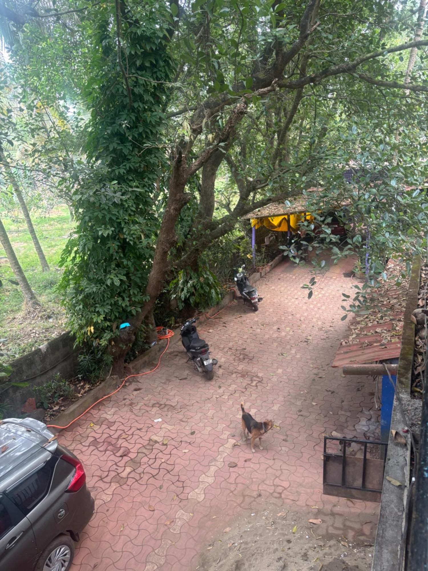 Tamasha Goa Vagator Quarto foto